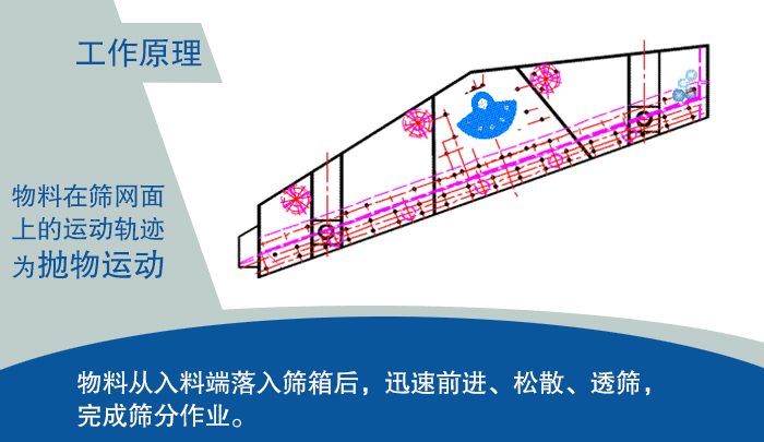 大型麻豆AV一区二区